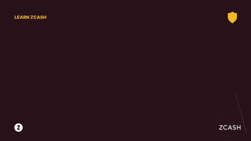 Zcash's Winklevoss-Backed Surge: What's Driving the Price and the Bitcoin Buzz?